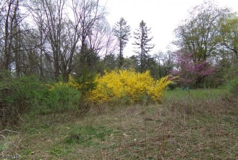 Lots and Land, Montague Twp., NJ