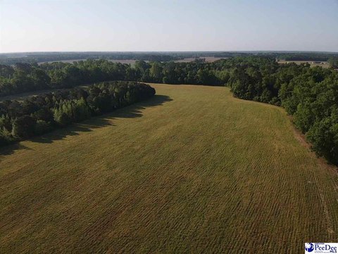 Dillon, SC Acreage Farm/Ranch