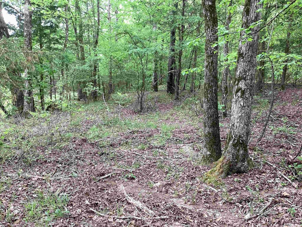 Picture 20