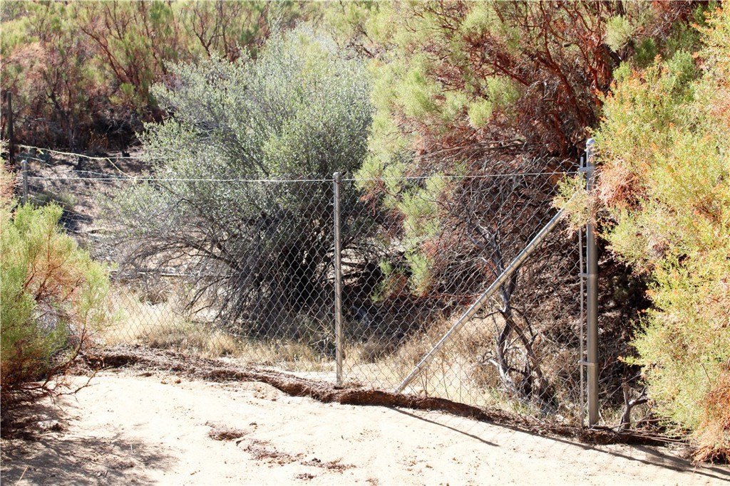 Picture 11