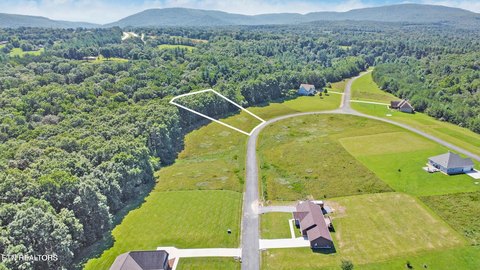 Lots & Acreage, Crab Orchard, TN