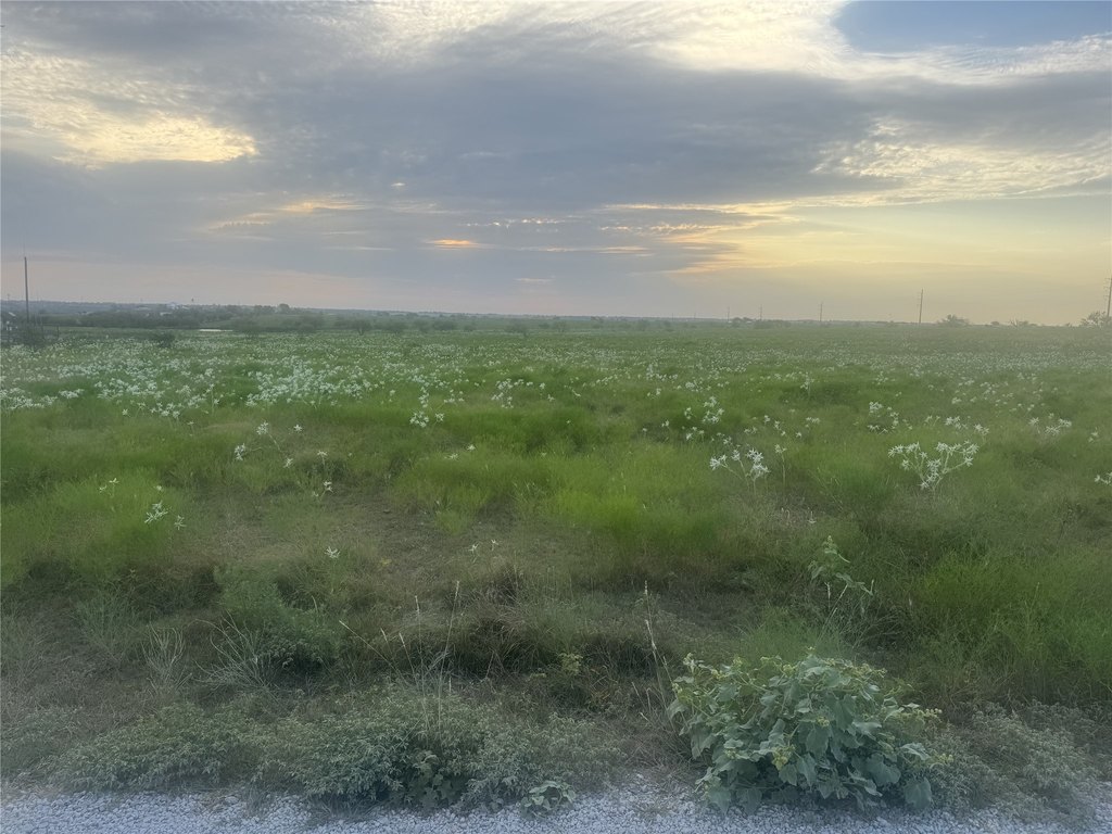 Picture 2
