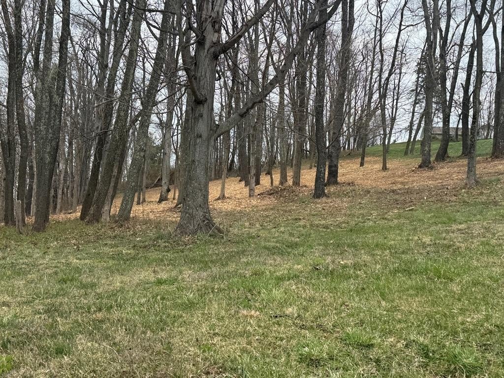 Land in Glen Dale, WV