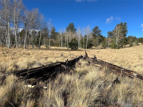 Land, Hartsel, CO