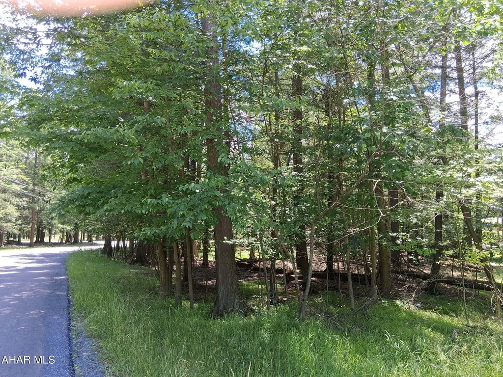 Picture 11