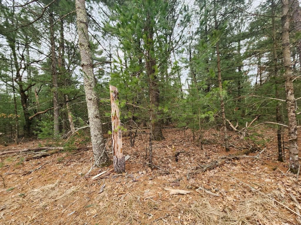 Picture 18
