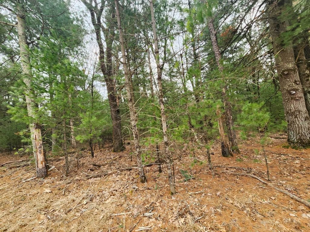 Picture 17