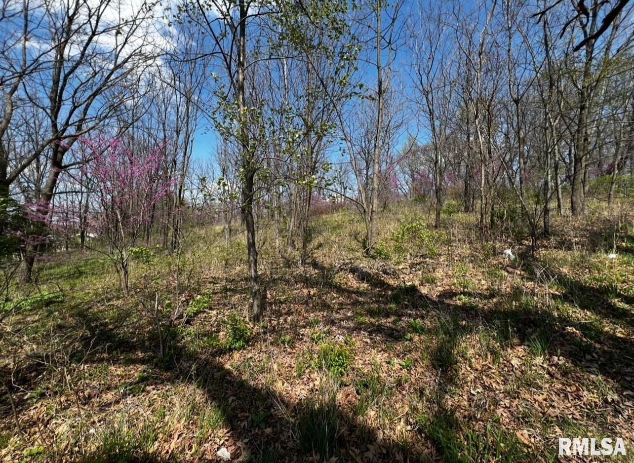 Residential Land Near Dorrance Park