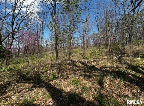 1.39 Acre Lot Near River