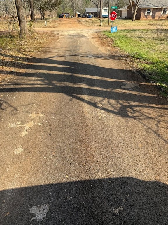 Picture 21