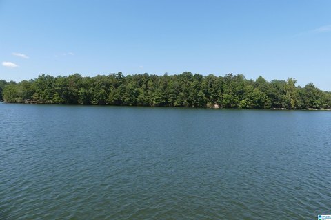 LAND/LOTS, WEDOWEE, AL