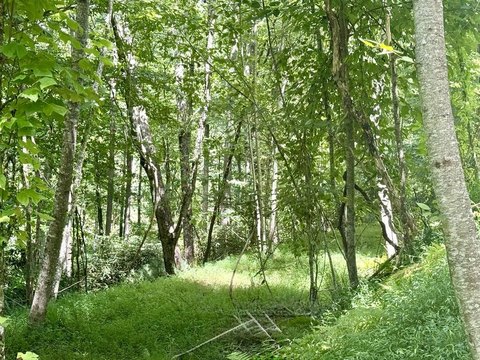 Vacant Lot, Brasstown, NC