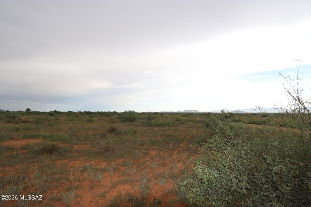 Picture 6