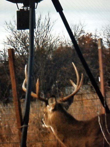 Picture 32