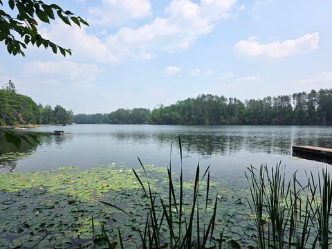 Sawyer Lake Wooded Waterfront Lot