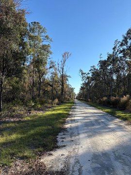 10 Acres Near Suwannee River