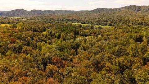 Wooded Land Near White River