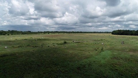 Recreational Farmland Tract