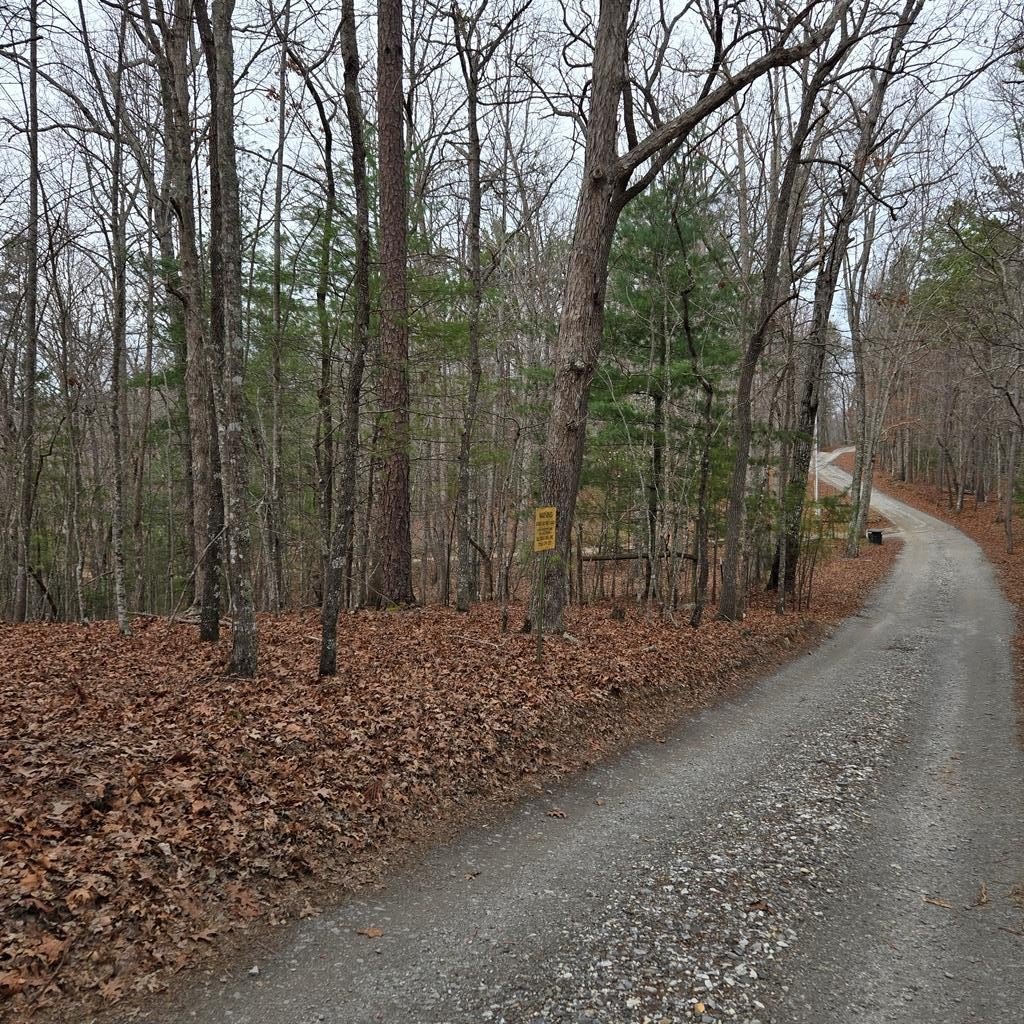 Morganton, GA Vacant Land