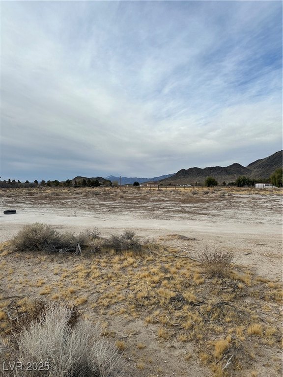 Picture 14