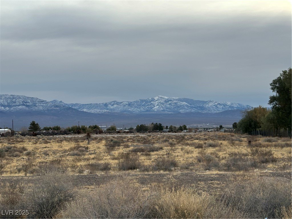 Picture 4
