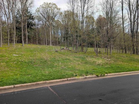 Wooded Lot in Eagle Valley