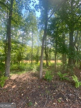 Riverfront Land in Ball Ground