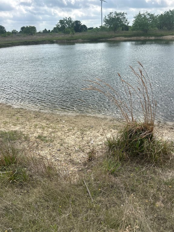 Picture 17