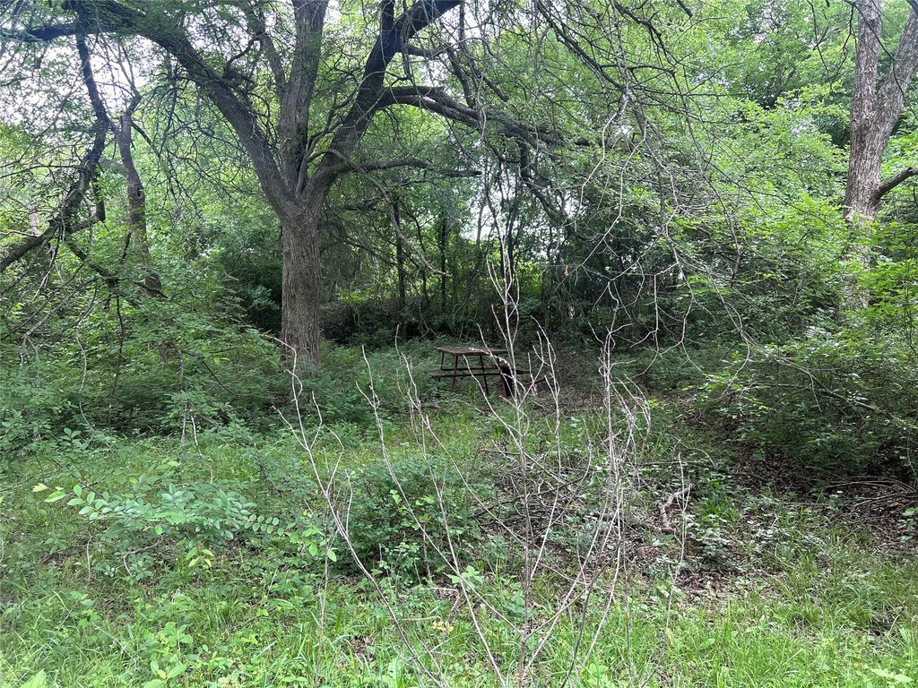 Picture 16
