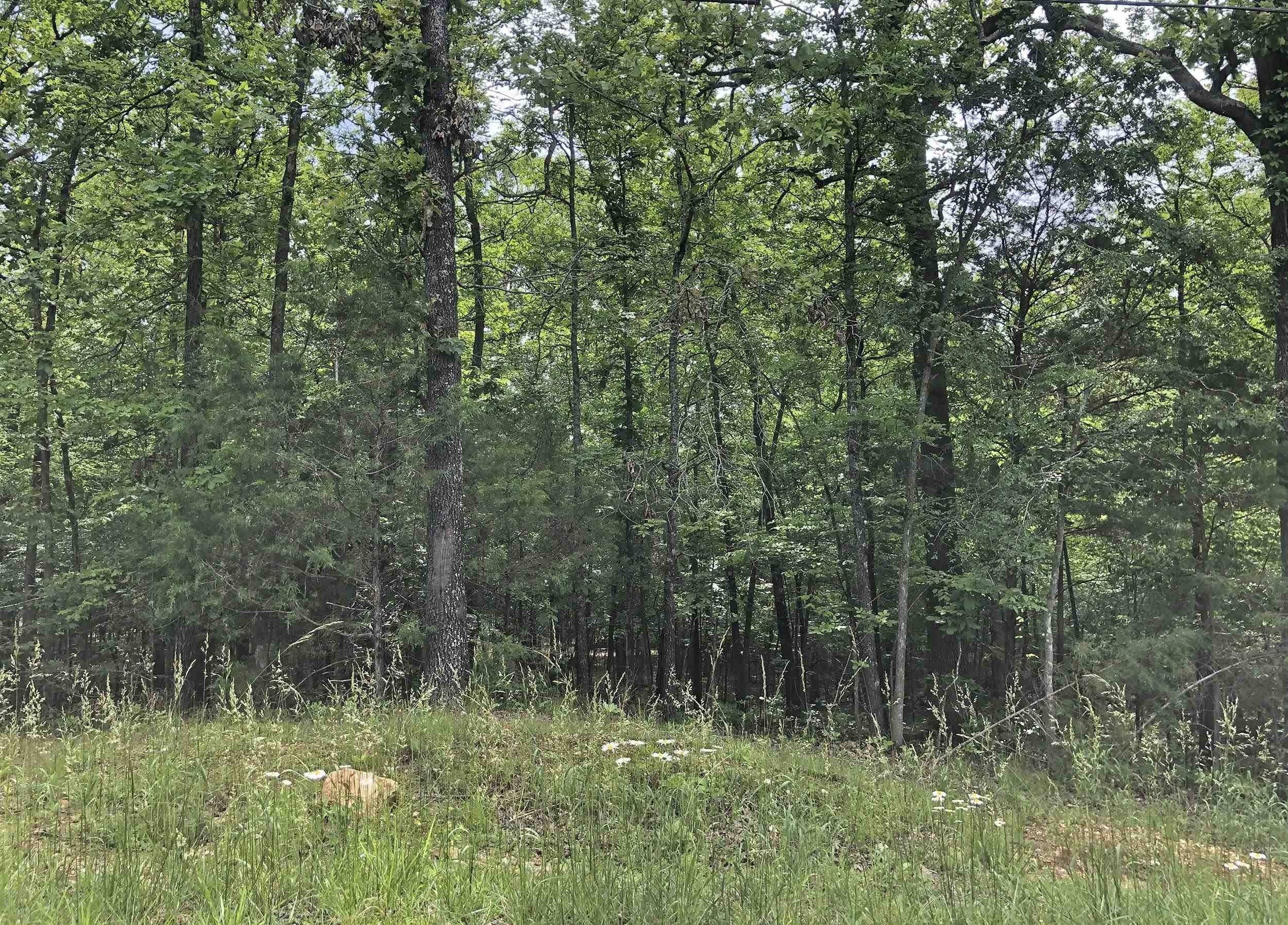 Lake View Residential Land