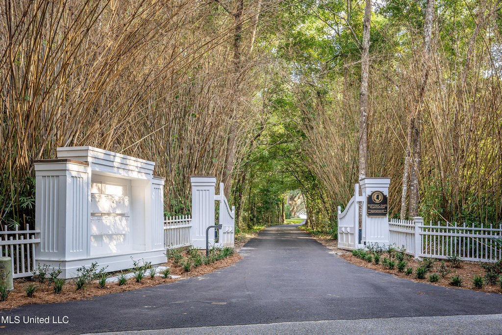 Picture 14