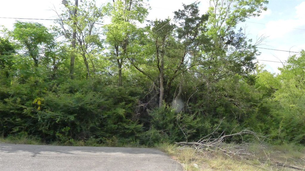 Picture 4