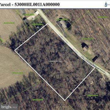 Wooded Land in Windsor Township