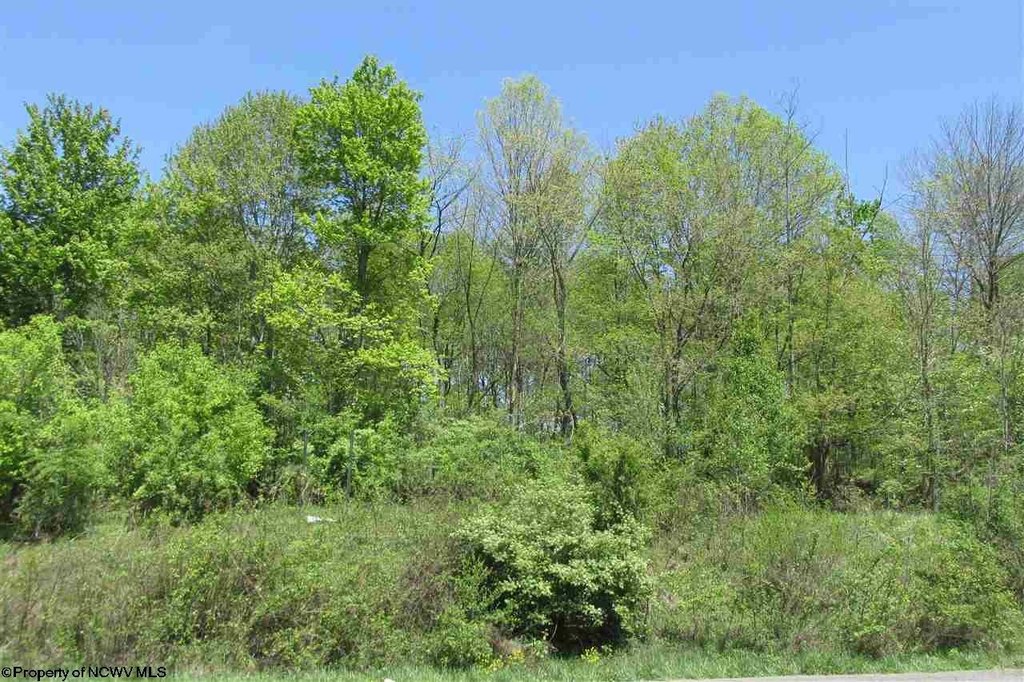 Picture 10