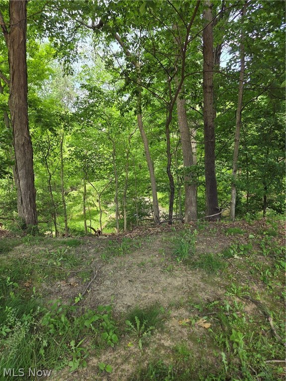 Picture 4