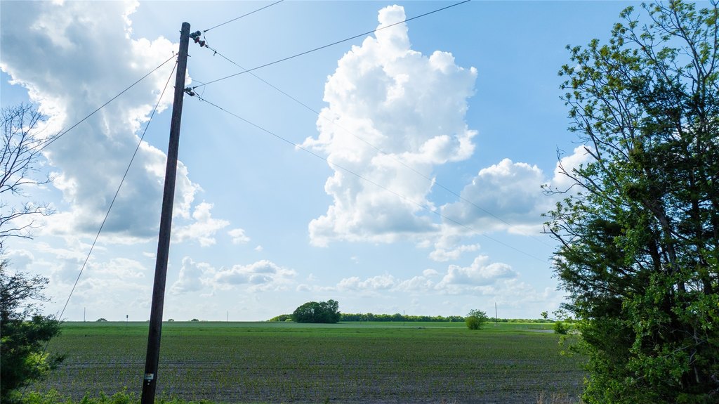 Picture 8