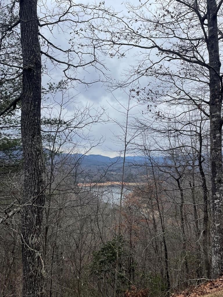 Fontana Lake Estates Premier Lot