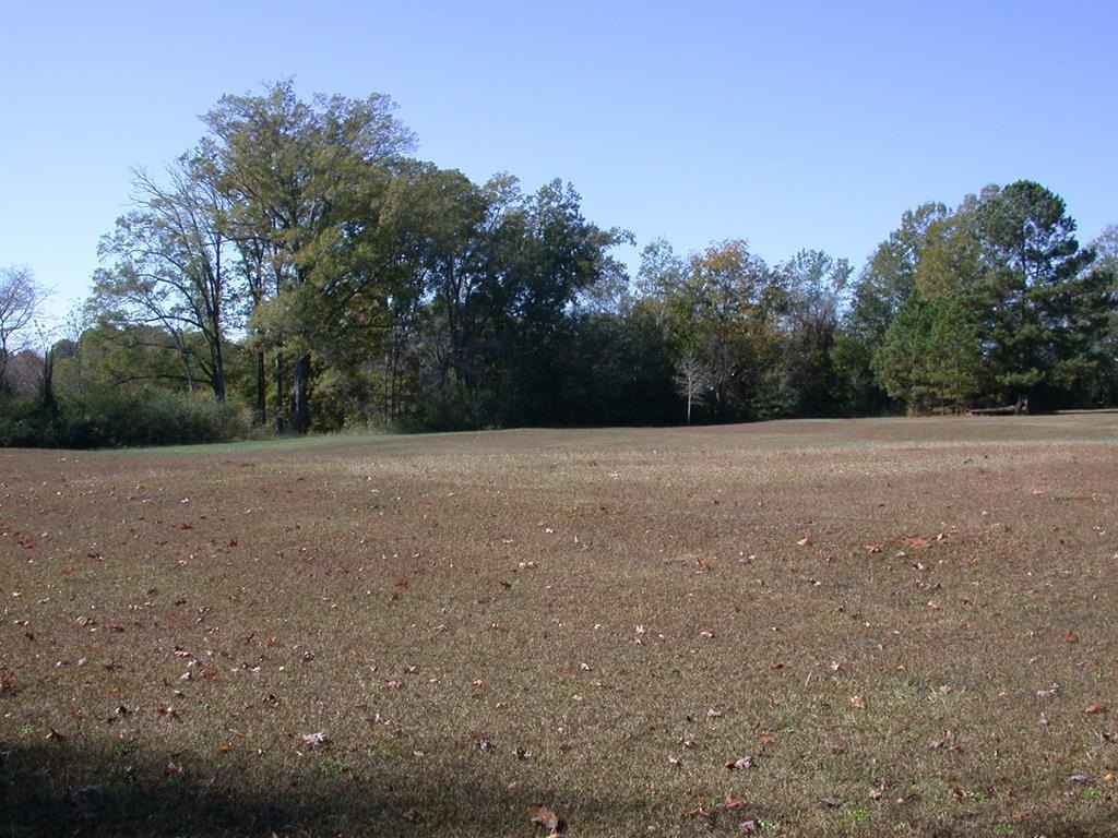 Picture 26