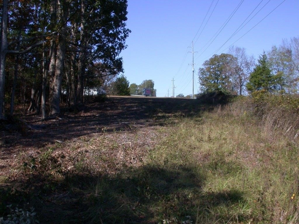 Picture 21