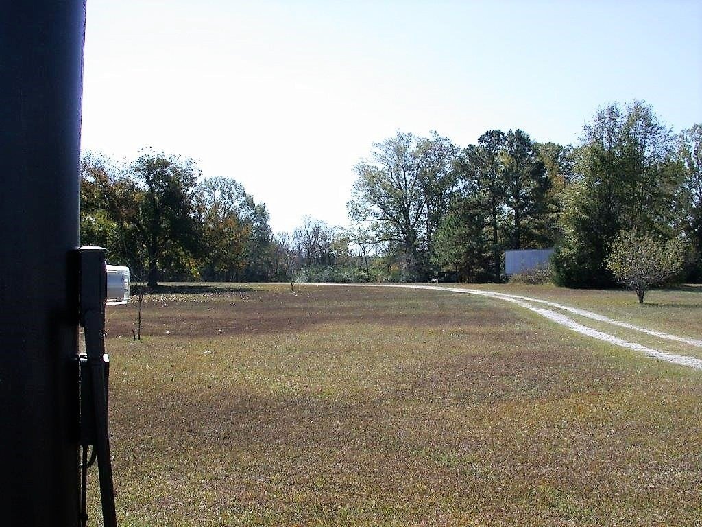 Picture 2
