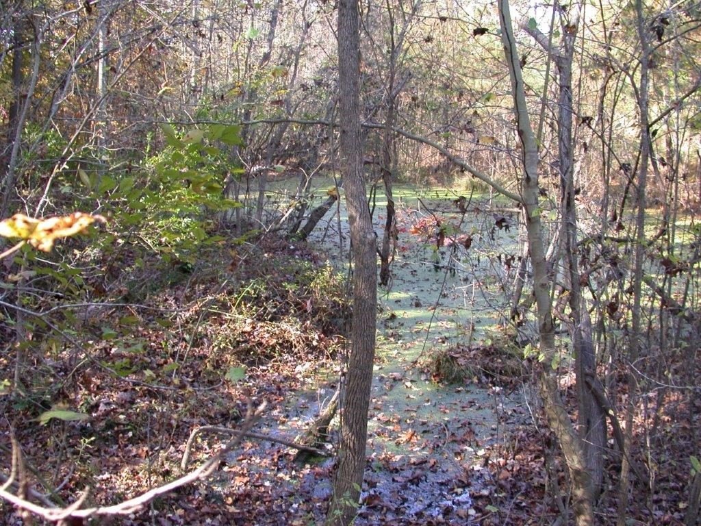 Picture 17