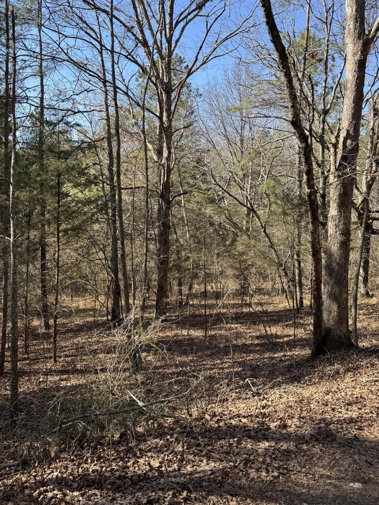 Land For Sale, Harrison, TN