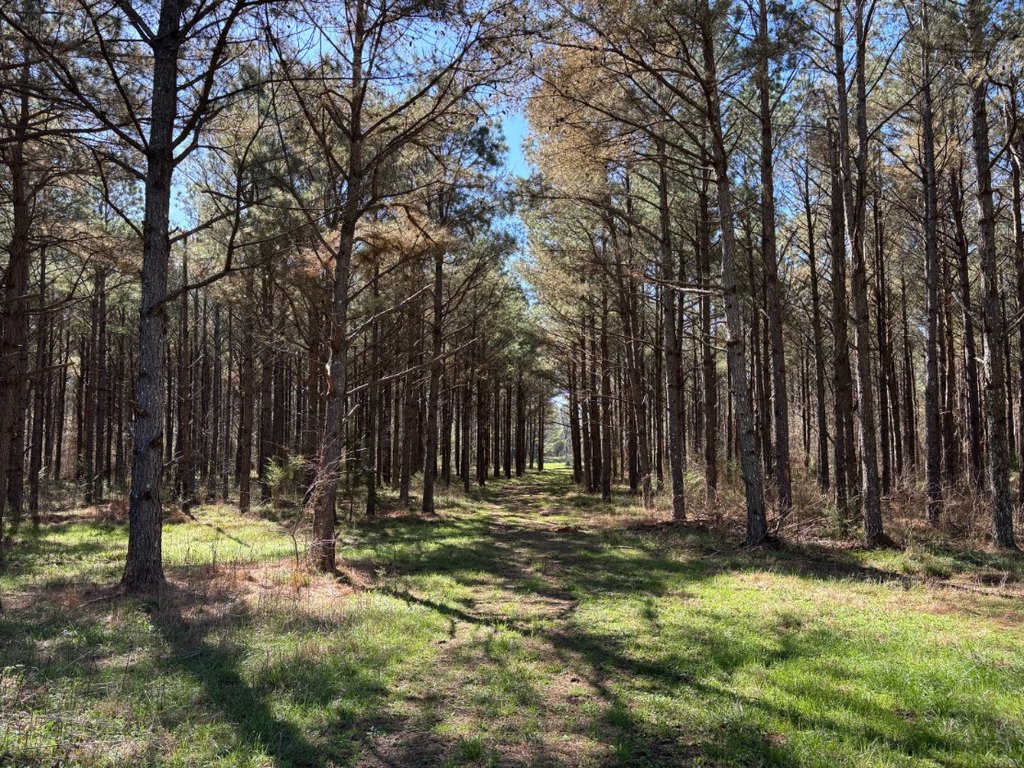 Picture 19