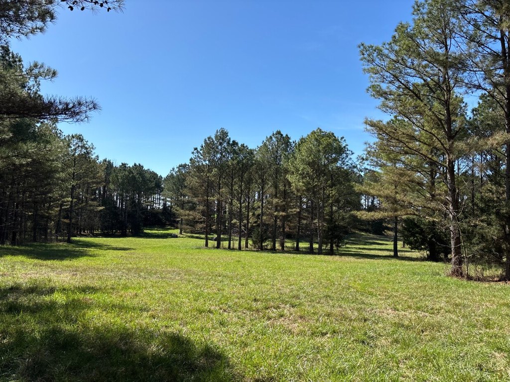 Picture 20