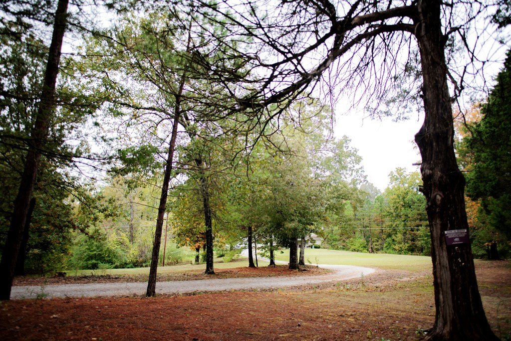 Picture 16