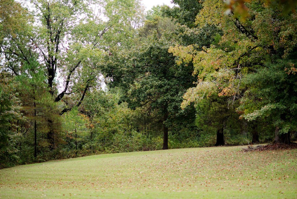 Picture 37