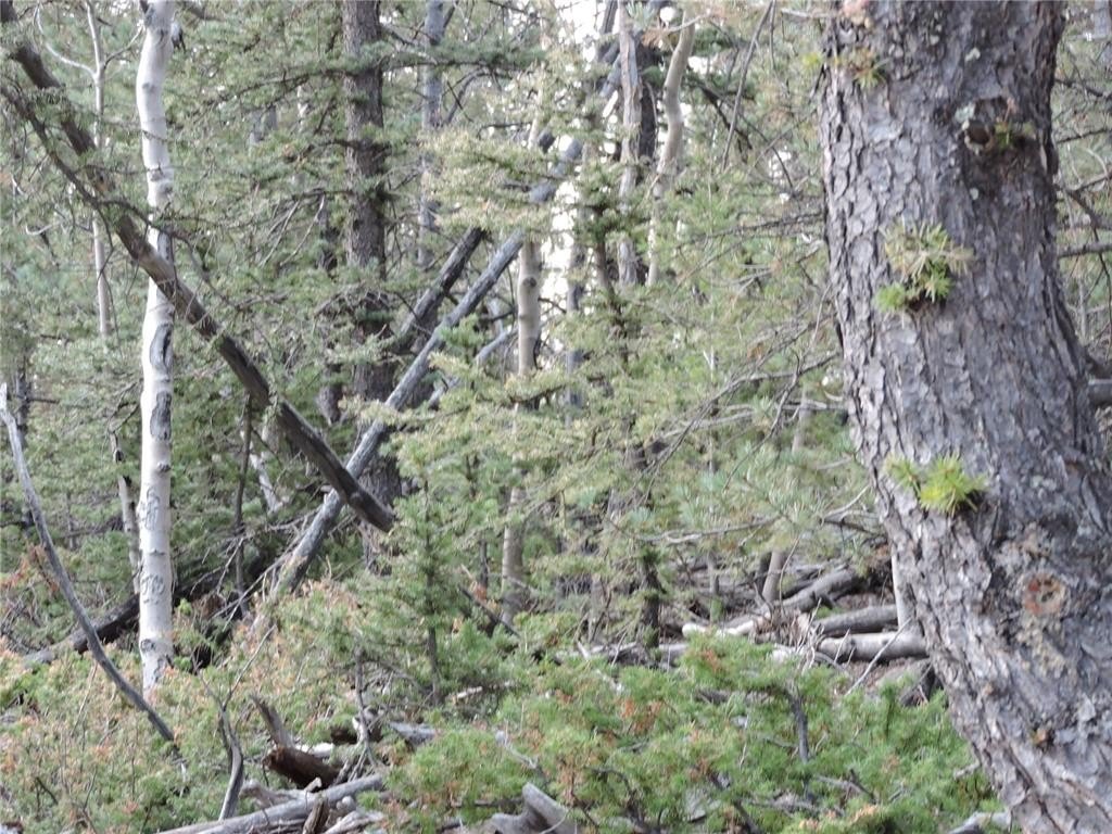 Picture 30
