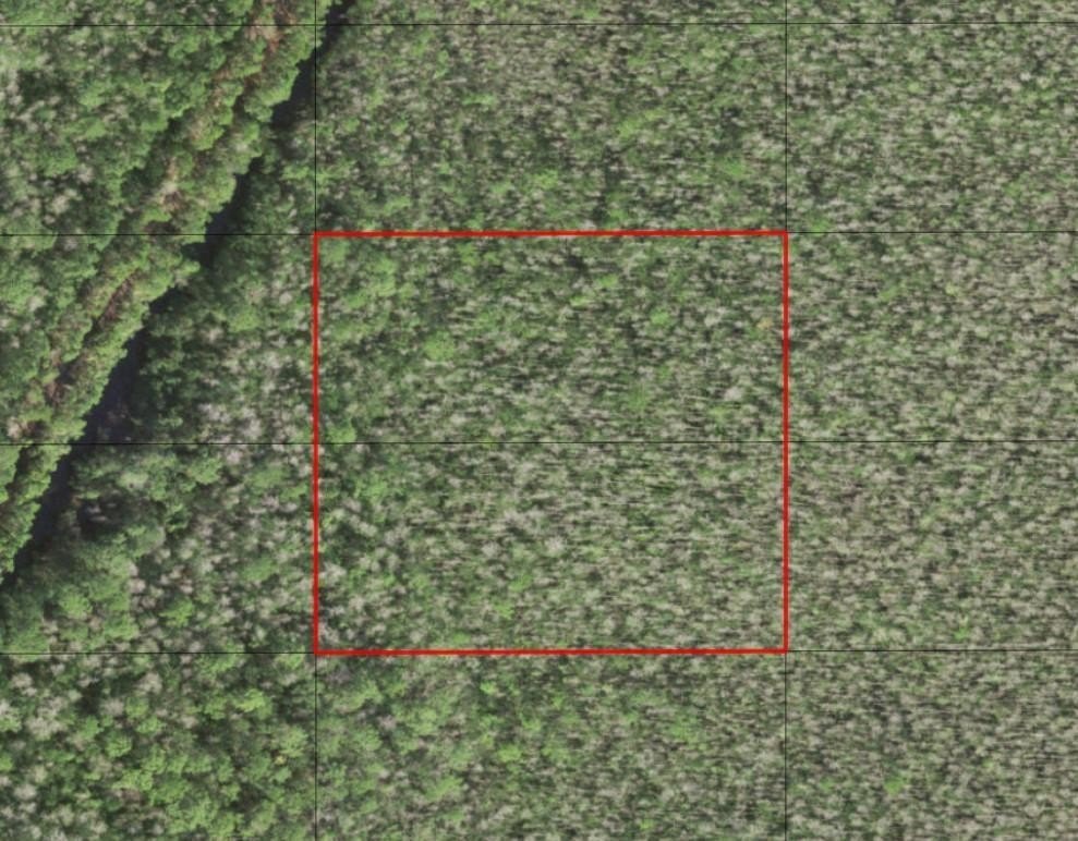 2.5 Acres Hunting Land