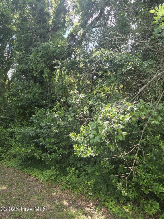 Picture 8