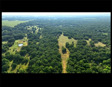 250 Acres Ranch/Farm Land